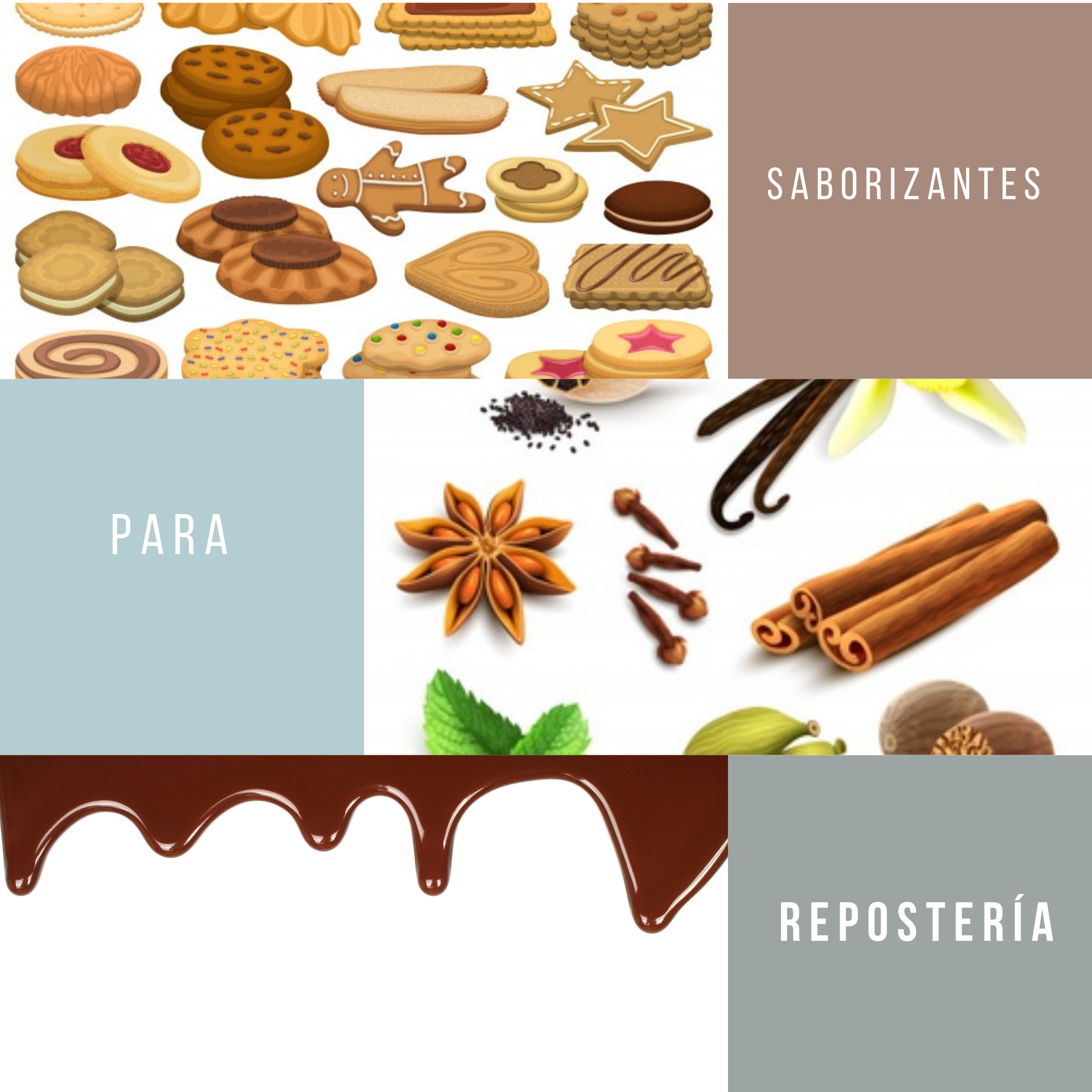 Saborizantes para la Industria Alimentaria  en México 