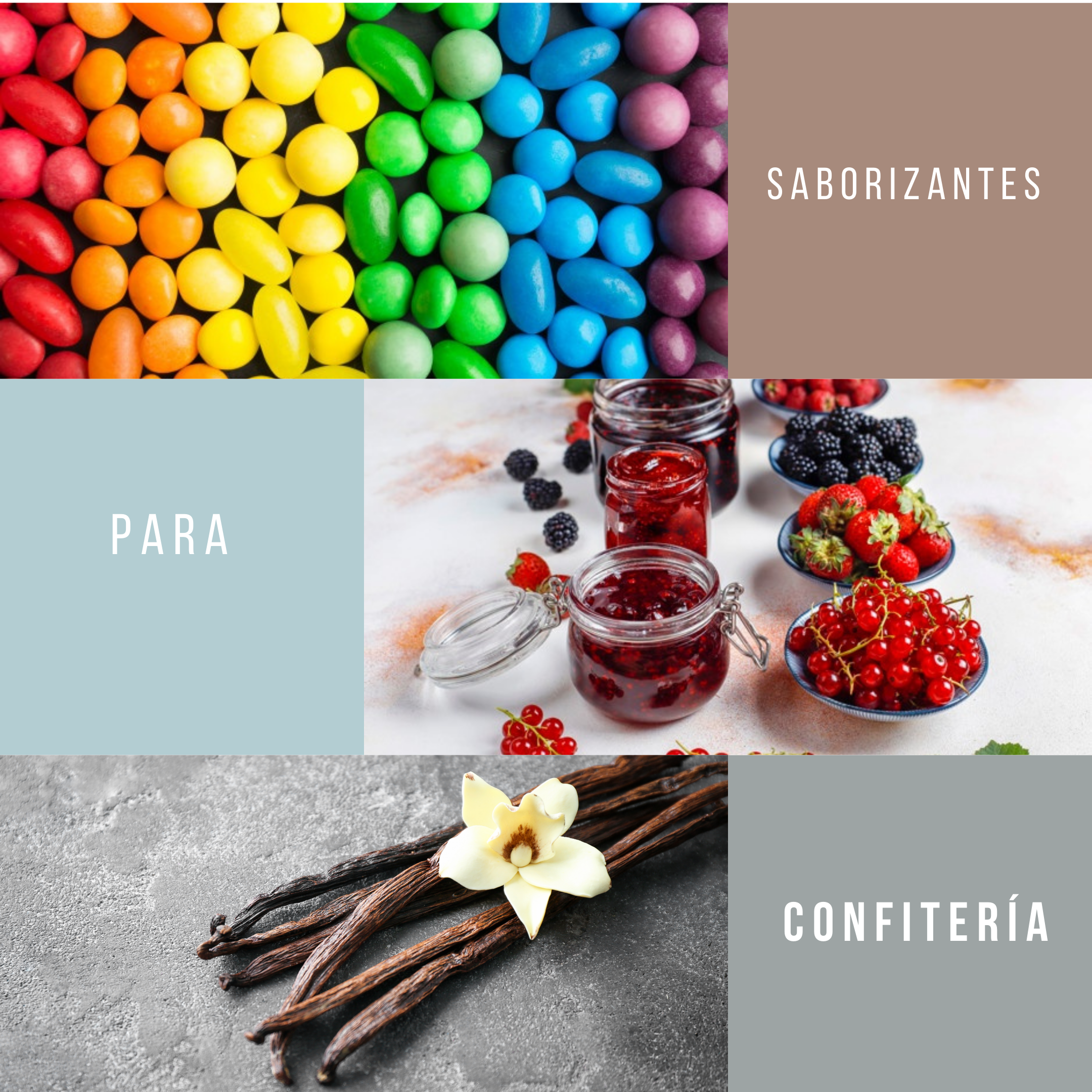 Saborizantes para la Industria Alimentaria  en México 