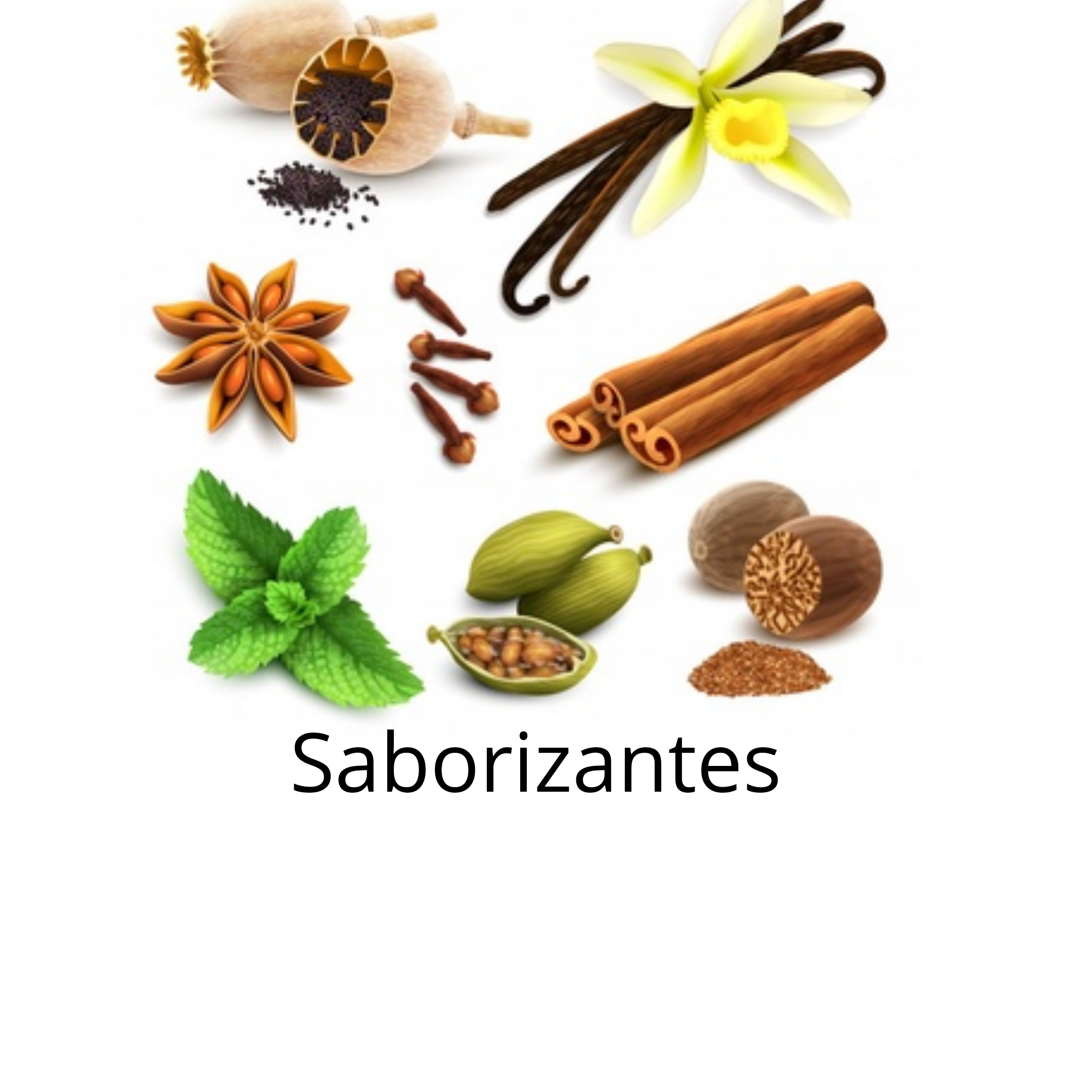 Saborizantes para la Industria Alimentaria 