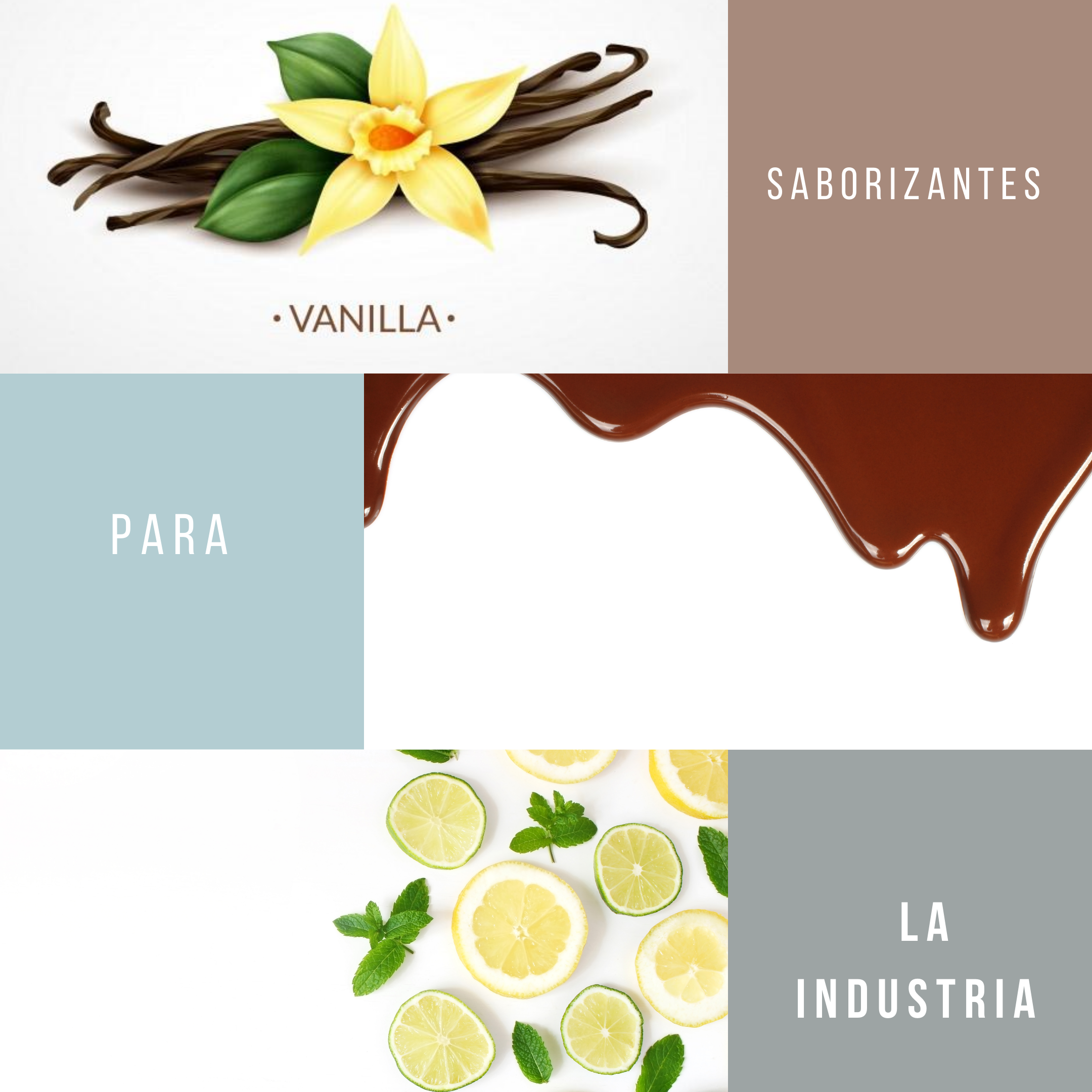 Saborizantes para la Industria Alimentaria  en México 